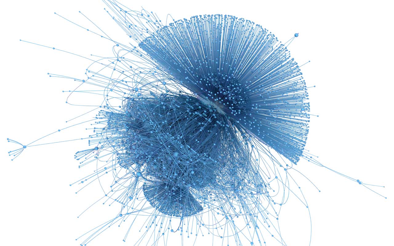 Wonder Net - Network Science Visualization Interactive Art
