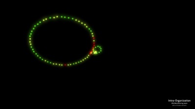 Intra-organizational Network