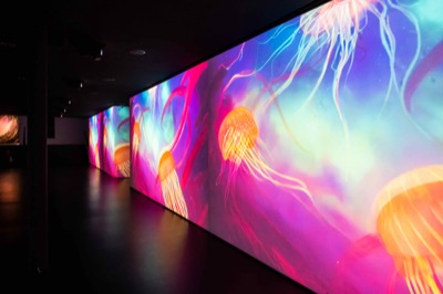 Understanding the Invisible exhibition at MEET Milan - visitors experiencing immersive NFT data visualization