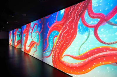 Understanding the Invisible exhibition at MEET Milan - visitors experiencing immersive NFT data visualization